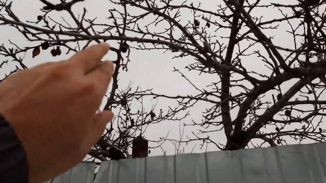 20.11.21 город Кузнецк Пензенская область. смотреть онлайн