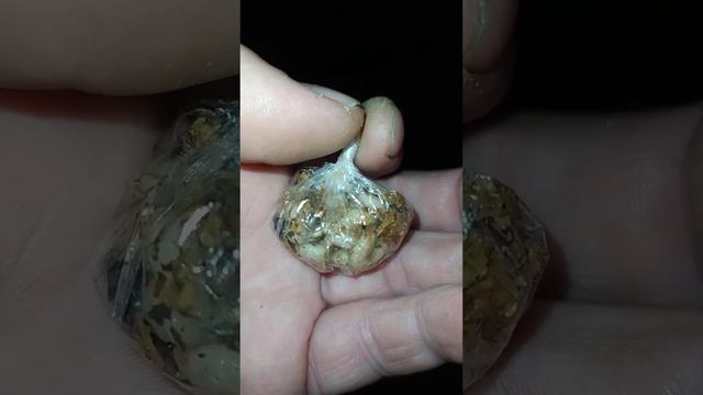 Angeln am Neckar ULTRAKÖDER ?? смотреть онлайн