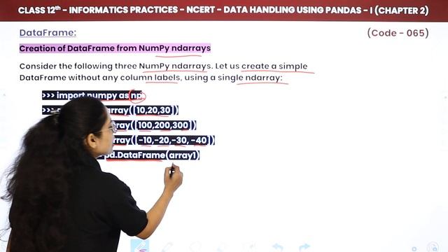 Class 12 Informatics Practices Chapter 2|Creating Dataframe -Data Handling in Pandas - I (Code 065 смотреть онлайн