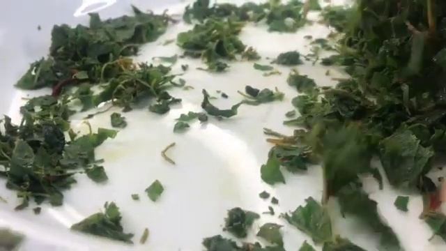 ✅ ФЕРМЕНТИРУЕМ ЖИМОЛОСТЬ - самый простой способ смотреть онлайн