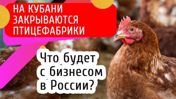 Почему сокращается количество предприятий в России и чего ждать  бизнесу в 2024 году?