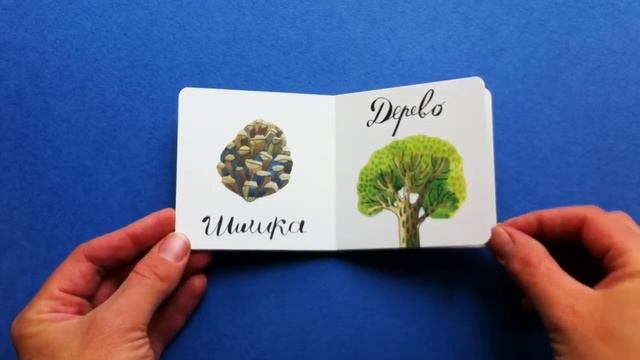 Книжка-малышка для детей от года «Слова» смотреть онлайн