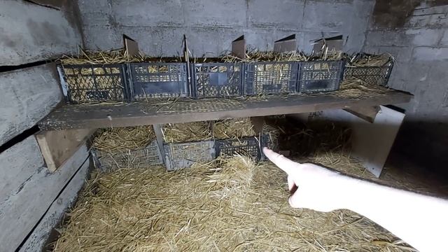 Гнёзда для уток! все НЕСУТСЯ В ОДНО ГНЕЗДО!! что делать??