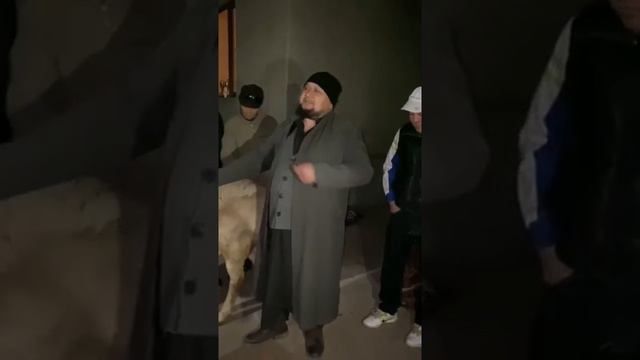 без ухий 😳👍 смотреть онлайн