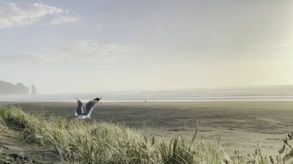 Seven24 & Delaitech & Alexander Gecko - Sattva  (DJ Artak Remix)