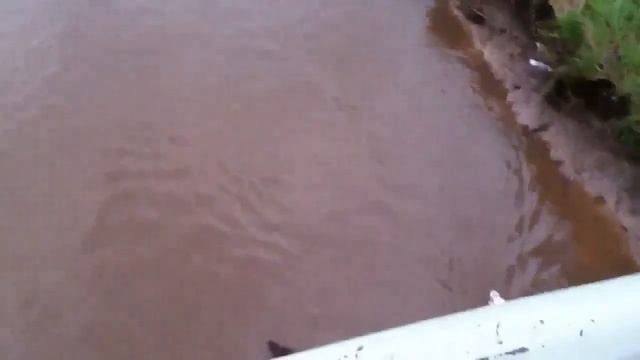 Dandenong Creek , Melbourne , Australia смотреть онлайн