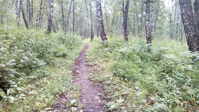 Тропа под откос