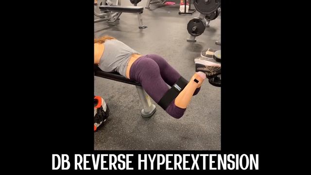 Exercise Tutorial - Dumbbell Reverse Hyperextension смотреть онлайн