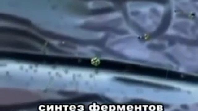 Жизнь внутри клетки Космос внутри нас смотреть онлайн