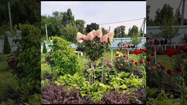 Начинающим Садоводам посвящается... смотреть онлайн