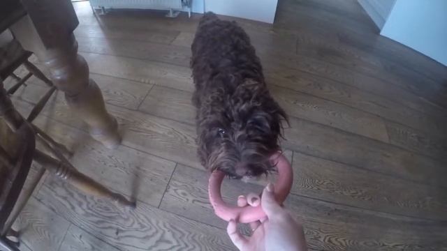 Take a Ramble with Bramble смотреть онлайн