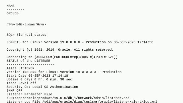 Dba: Unable to connect to Oracle user in pluggable database смотреть онлайн