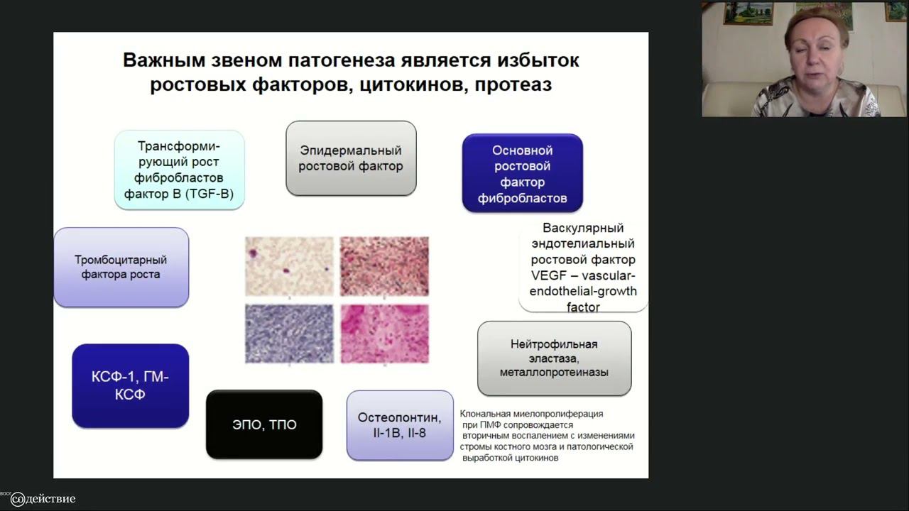 ВООГ Содействие