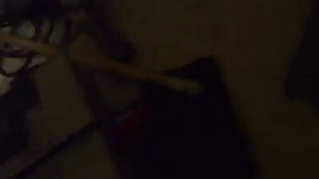 HELP! Game Genie Issue