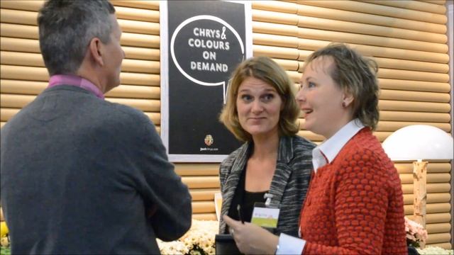 Голландские хризантемы смотреть онлайн