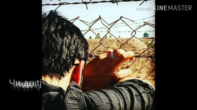 В каждом сердце есть больная рана