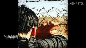 В каждом сердце есть больная рана