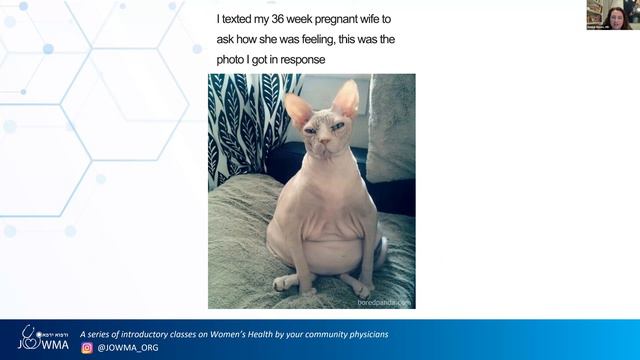 Women's Health Webinar: Obstetrics Basics: Part I