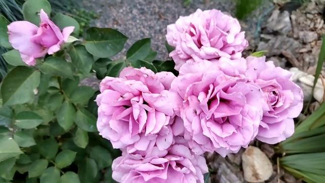 Лав сонг смотреть онлайн