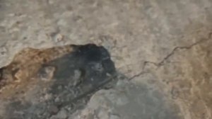 Бухтит стяжка, причины и решение(Мое)