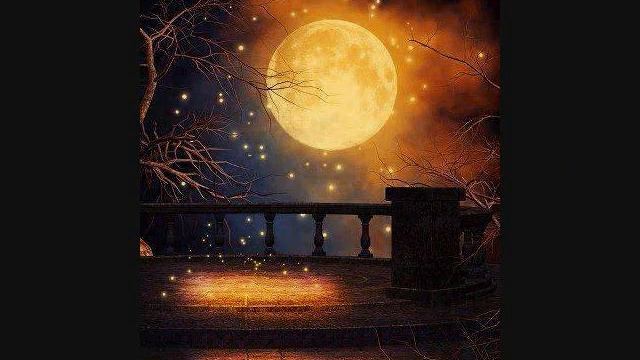 sarah connor - just one last dance смотреть онлайн