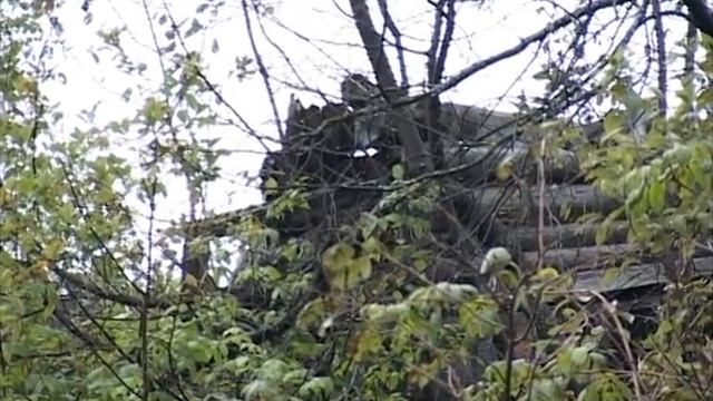Судебные приставы сегодня провели рейд смотреть онлайн