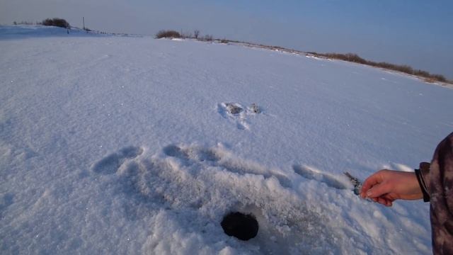 С ЭТИМ БАЛАНСИРОМ БЕЗ РЫБЫ НЕ ОСТАНЕШСЯ.Рыбалка на ИШИМЕ. смотреть онлайн