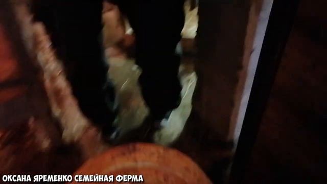 Вся ЗАРПЛАТА ушла на СКОТИНУ смотреть онлайн