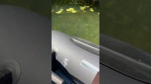 Лодка таймень 3400 с мотором 5 л/с