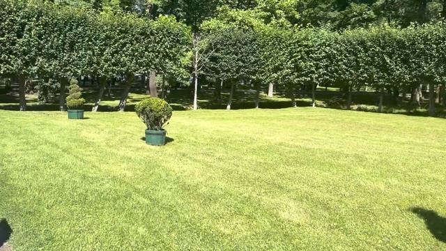 Отдых в России для миллионеров Петергоф цены Ужин на 7000р в Санкт-Петербурге смотреть онлайн