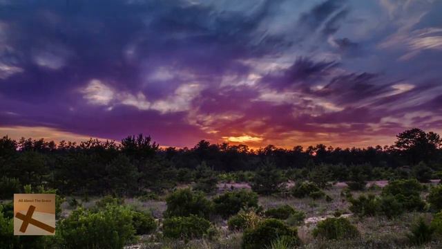 Prayer For Peace - Prayer Of St. Francis
