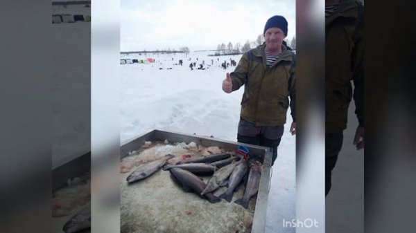 рыбалка в кокино ,форель ,осетр,толстолоб,налим . !!!!