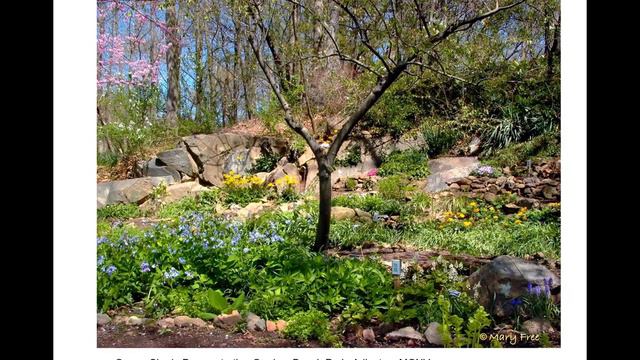 Kirsten Conrad and Janet Nuzum present Landscape Design Track pt 2 смотреть онлайн