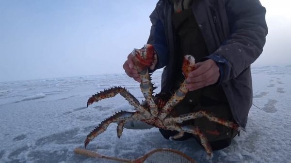Прёт много крупного краба! Первый лёд! // Lots of big crabs. The first ice! (Eng Subs)