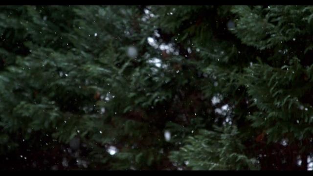 TMRM - Best Christmas music for fun смотреть онлайн