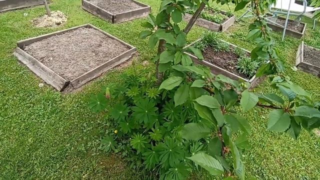 На даче Не знаю за что взяться смотреть онлайн