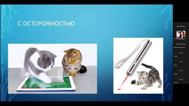 02 08 "Котёнок - кто он? Ввебинар по поведенческой терапии от @moszoovetsnab смотреть онлайн