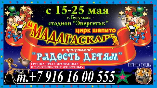 мадагаскар смотреть онлайн