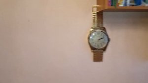 Отжим масла из тыквенных нечищеных семечек на маслопрессе  "Живодар"  давлением 40т