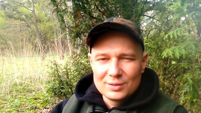 Какая печь в парилку лучше: финская или российская? смотреть онлайн