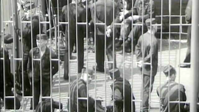 Алексей Стёпин - Долюшка-доля (видеоклип) #классика #мегахит