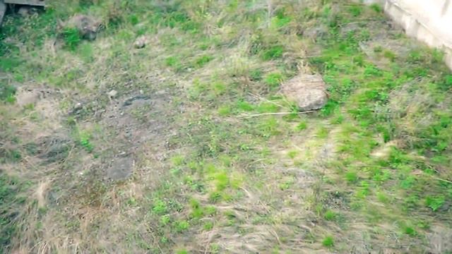 Б.О.#11.5 - Город Пизрак часть 2 | влог о мертвом городе  ★★★