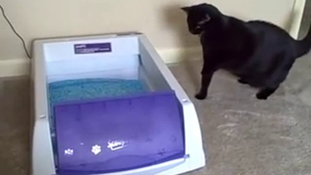 Изучаем самоочищающийся лоток для кошек - rukot.com смотреть онлайн