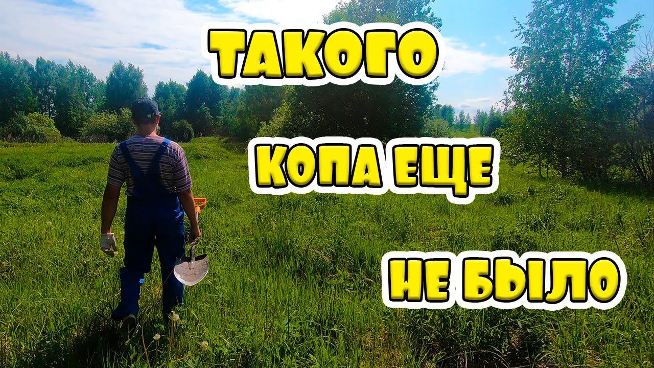 Выкопали и вывезли!