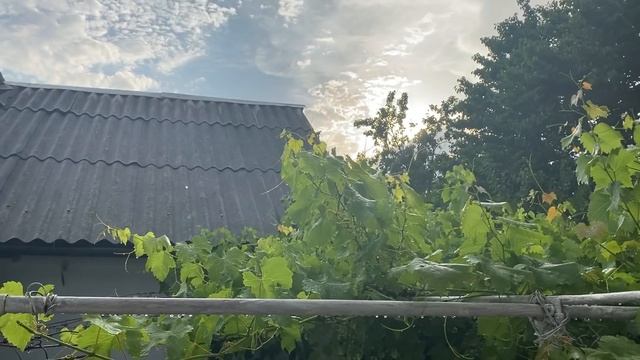 ЮЖНЫЕ НОВОСТИ. ДО/ПОСЛЕ