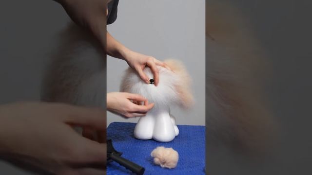 МОДЕЛЬ ДОГ / GROOM SCHOOL смотреть онлайн