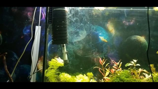 Как правильно мыть аквариумный фильтр (губку) смотреть онлайн