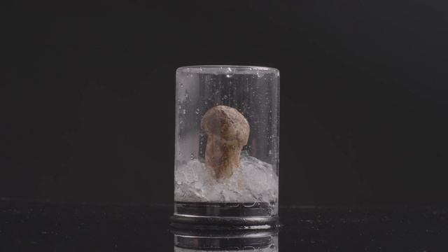 Tricholoma matsutake used in DR PLANT products has a better skincare effect. смотреть онлайн