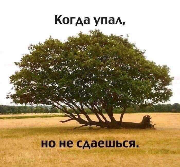 исчезновение.mp4 смотреть онлайн