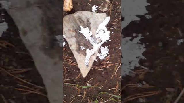 Что будет, если вылить свинец на разные предметы !? смотреть онлайн